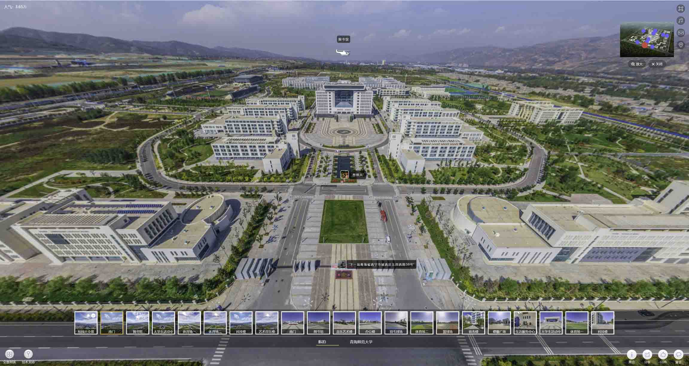 定安油菜花-惊艳半生的花海仙境